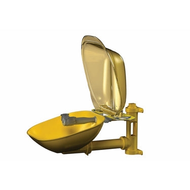 Safety Eye/Face Wash, Wall Mount - Model S19224PDC